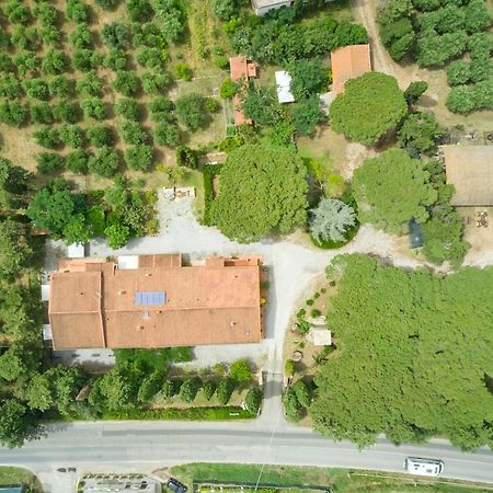 Antichi Palmenti - Erica Villa San Vincenzo Eksteriør bilde