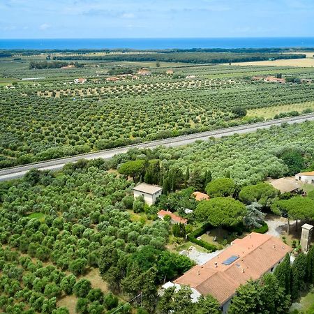 Antichi Palmenti - Erica Villa San Vincenzo Eksteriør bilde